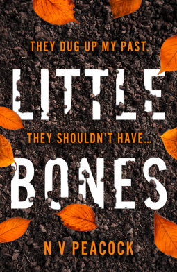 Book Review Little Bones by N.V. Peacock